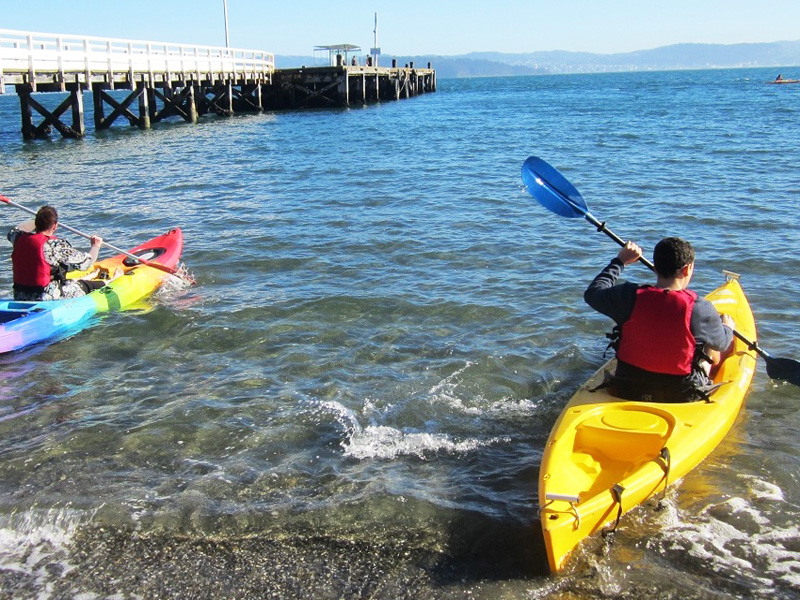 Single Kayak Hire 1 hour @ The Boatshed - Days Bay